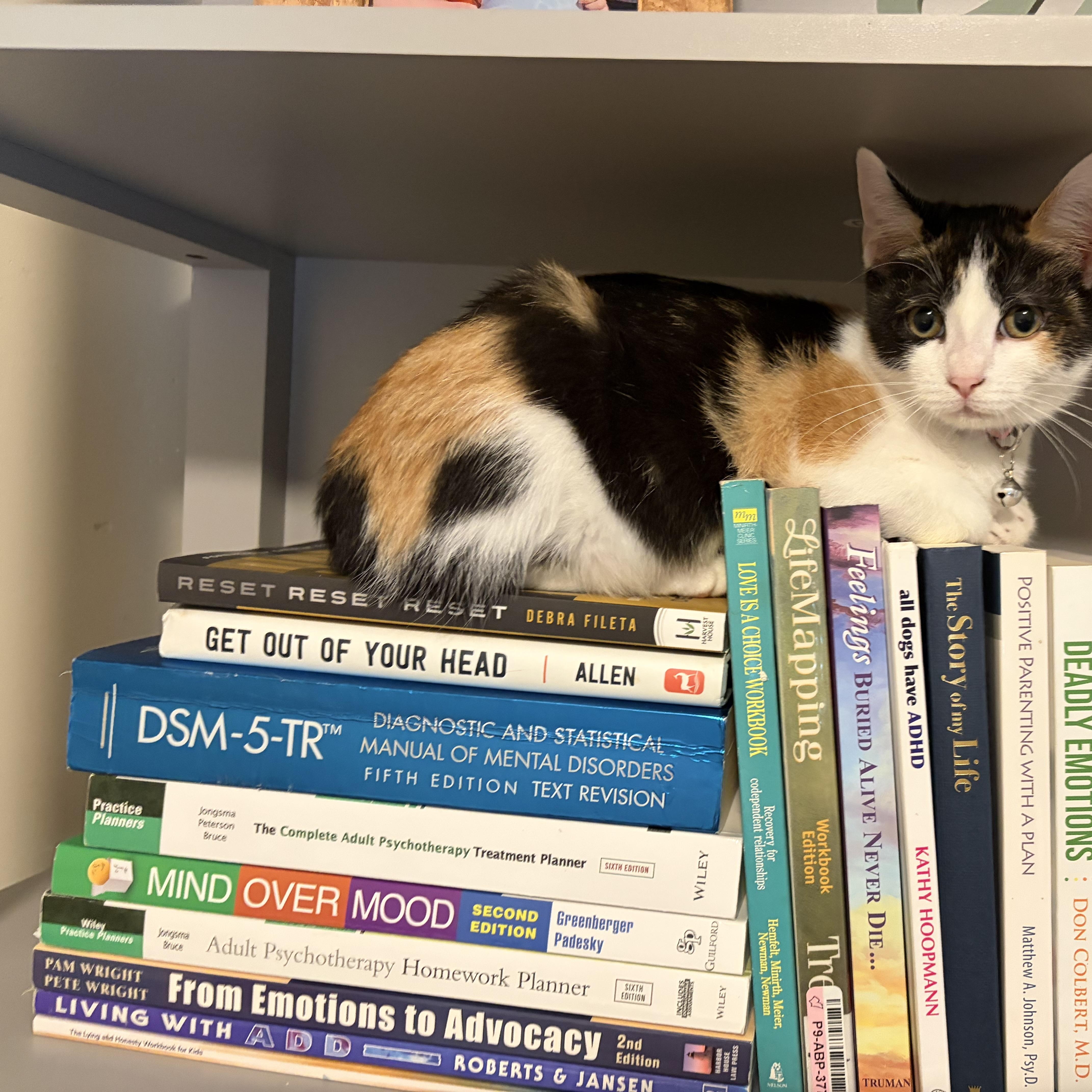 Matilda photo