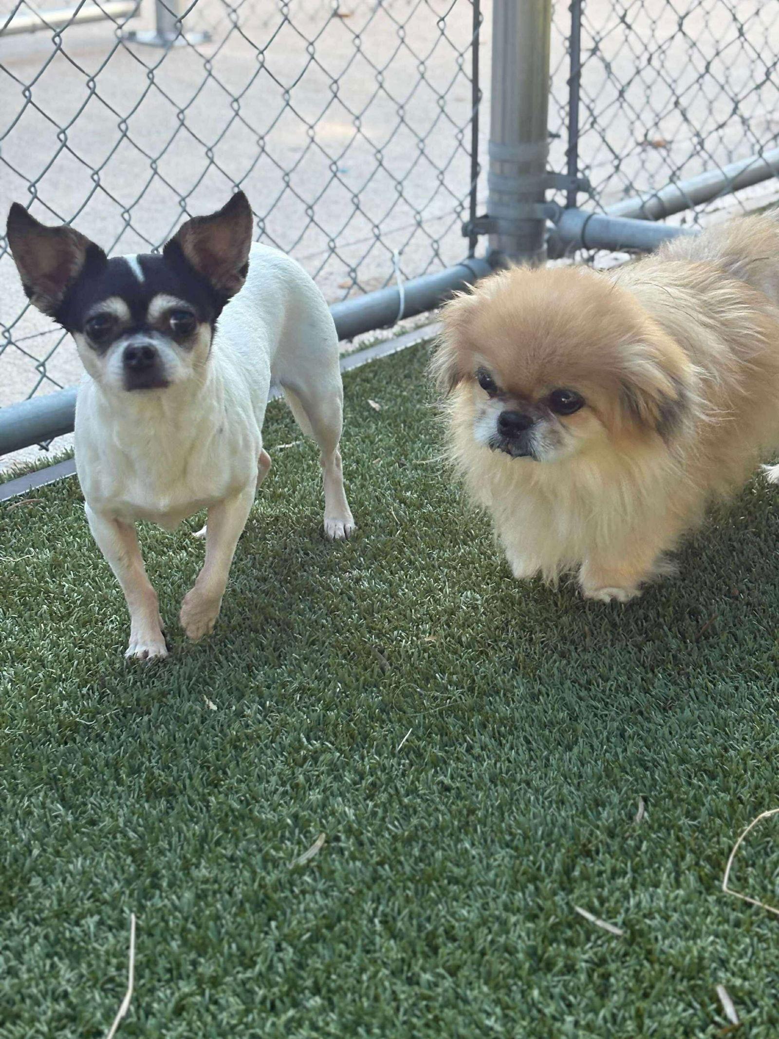 Pepper Lynn thumbnail 3