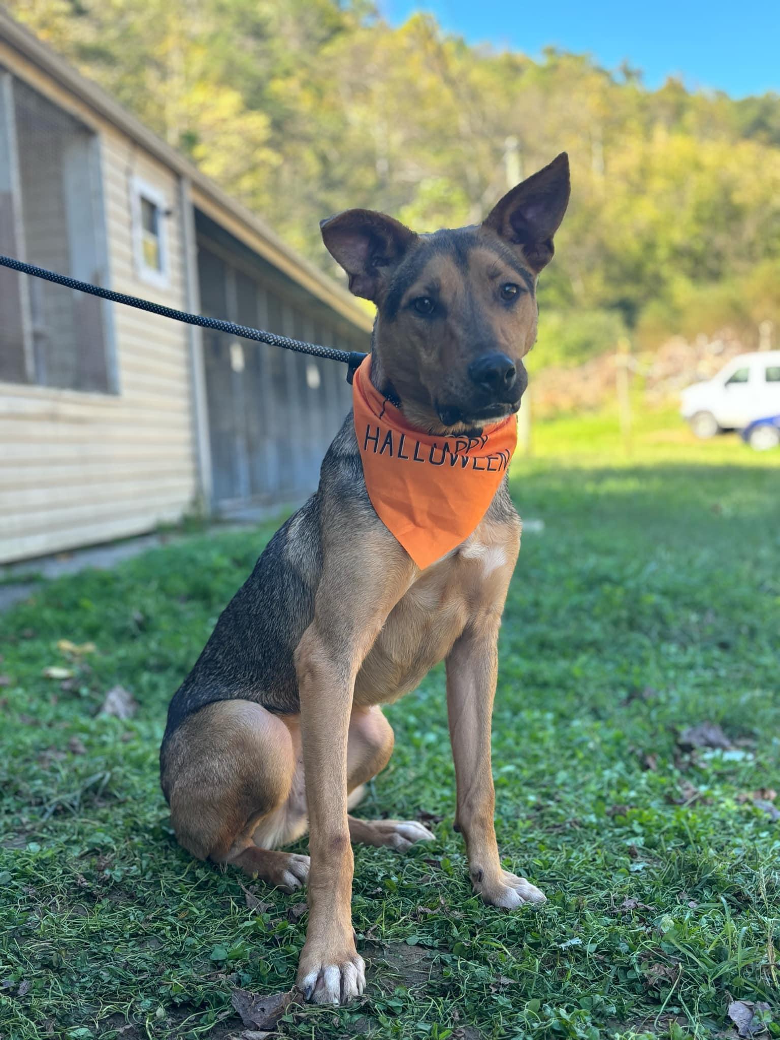 Tom (20240908-05) — thumbnail 3