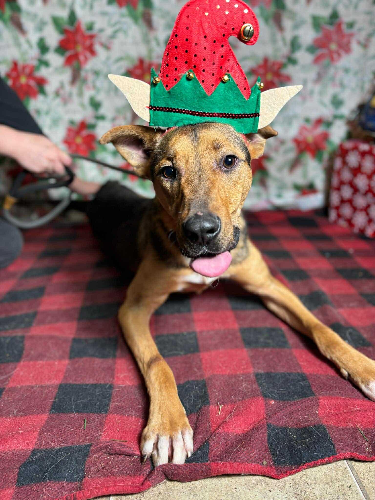 Tom (20240908-05) — thumbnail 4