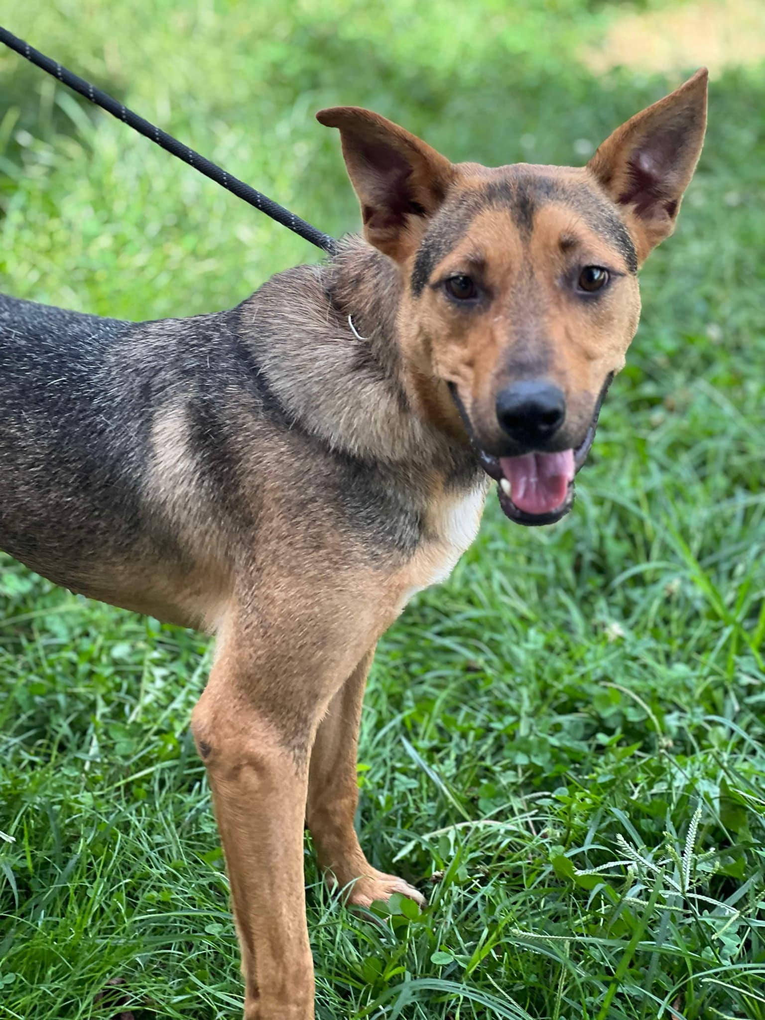 Tom (20240908-05) — thumbnail 5