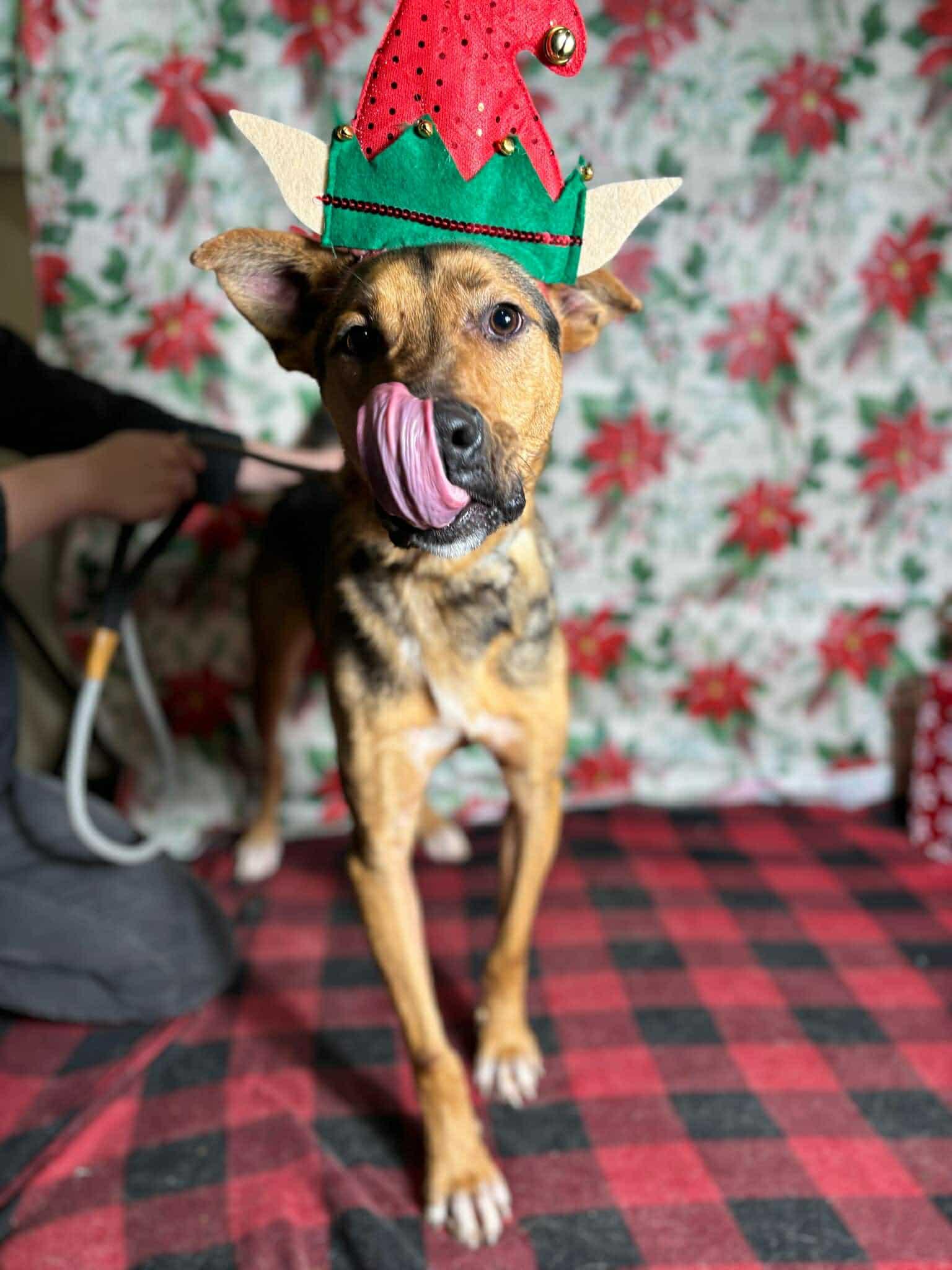 Tom (20240908-05) — thumbnail 6