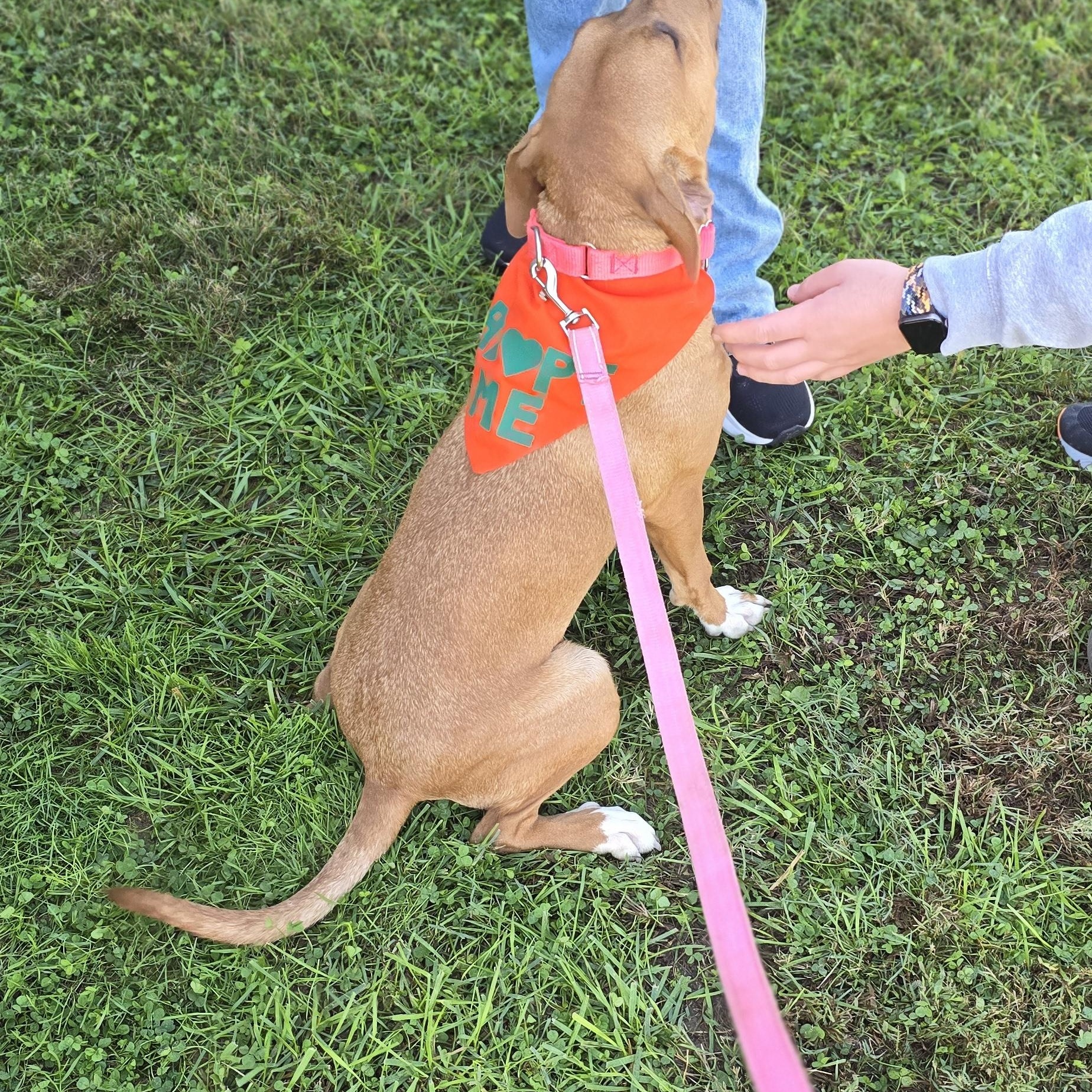 Jilly   Pounds thumbnail 3