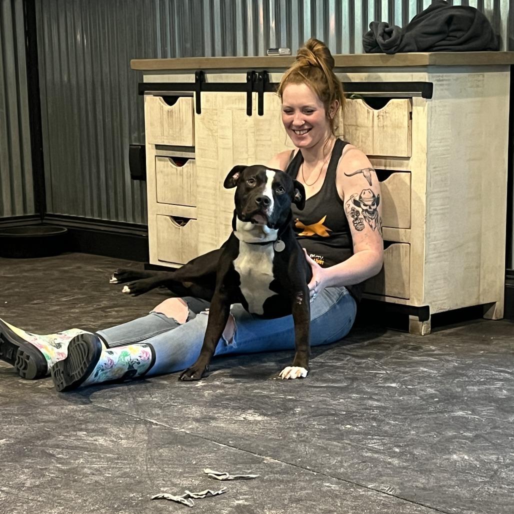 Ivan, a Adoptable Mixed Breed in Springboro, OH image 5/6