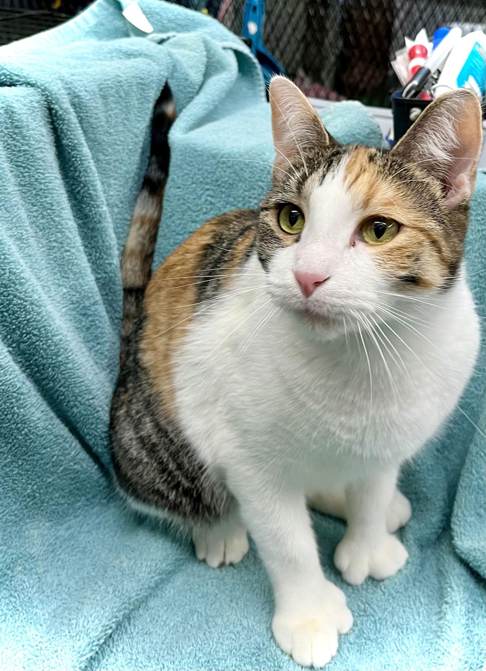 Bethany — thumbnail 2