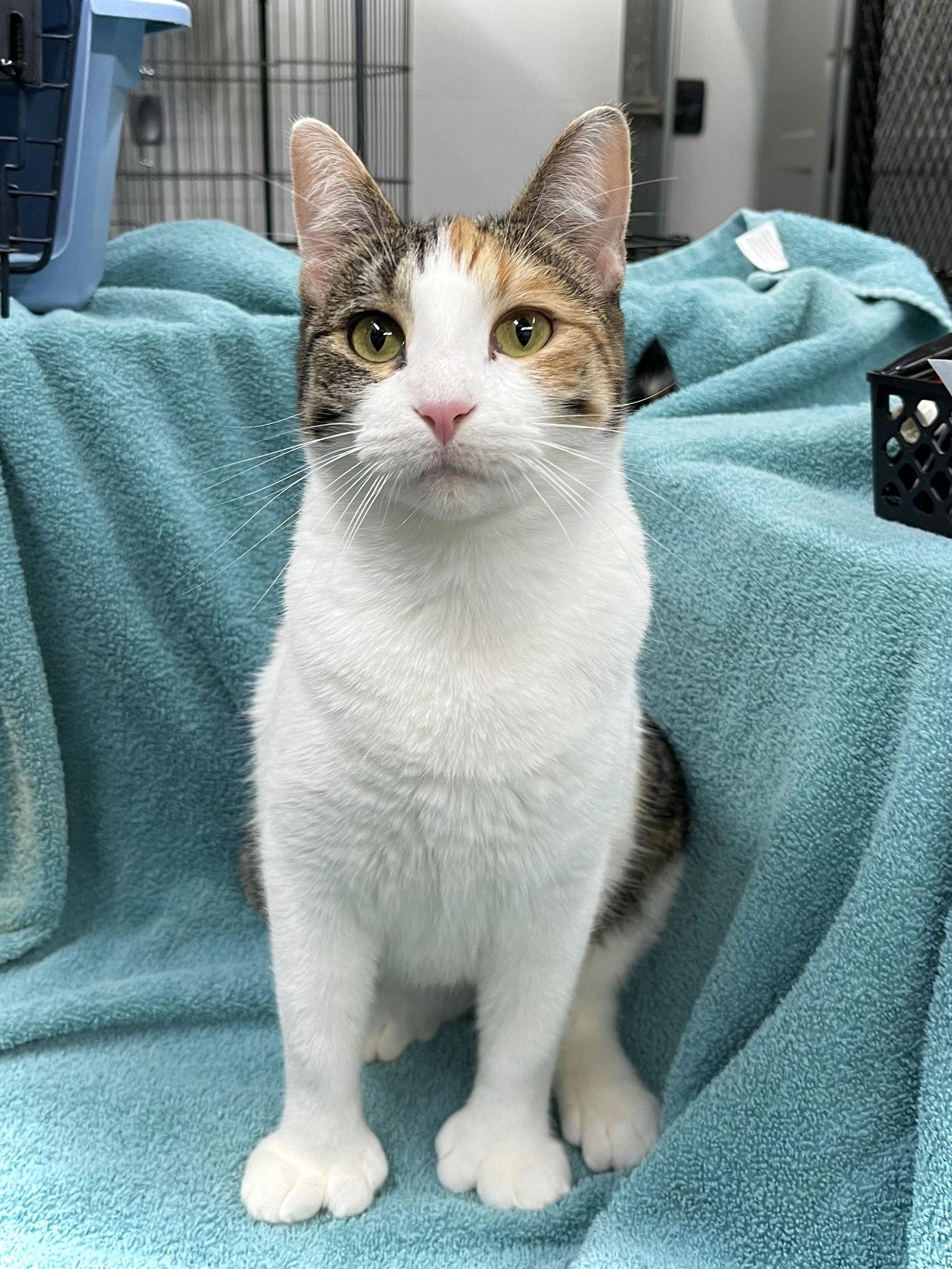 Bethany — thumbnail 3