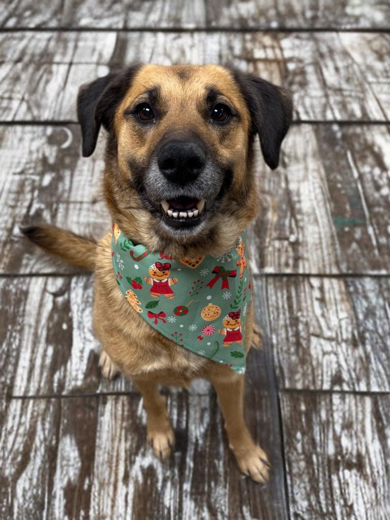 Victoria thumbnail 3