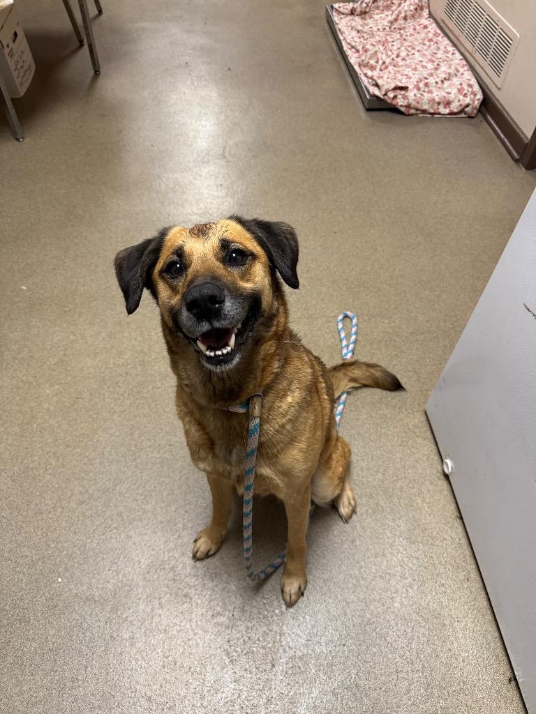 Victoria thumbnail 4