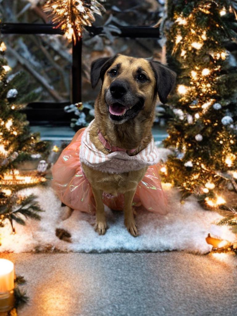 Victoria thumbnail 5