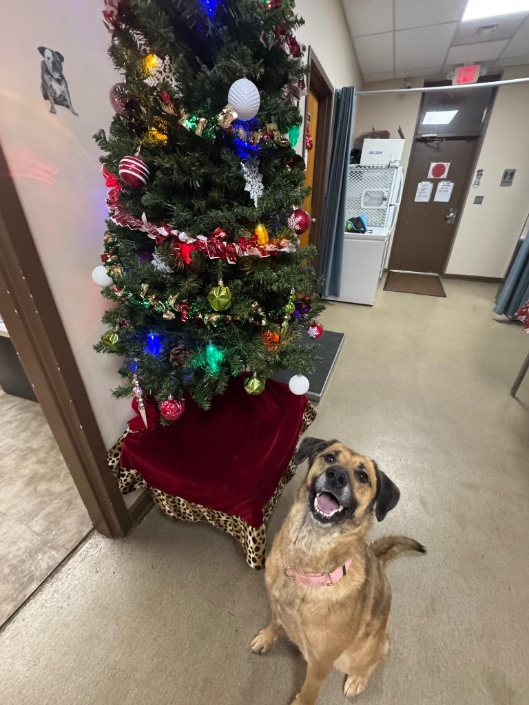 Victoria thumbnail 6