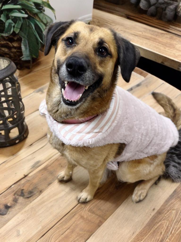 Victoria thumbnail 7