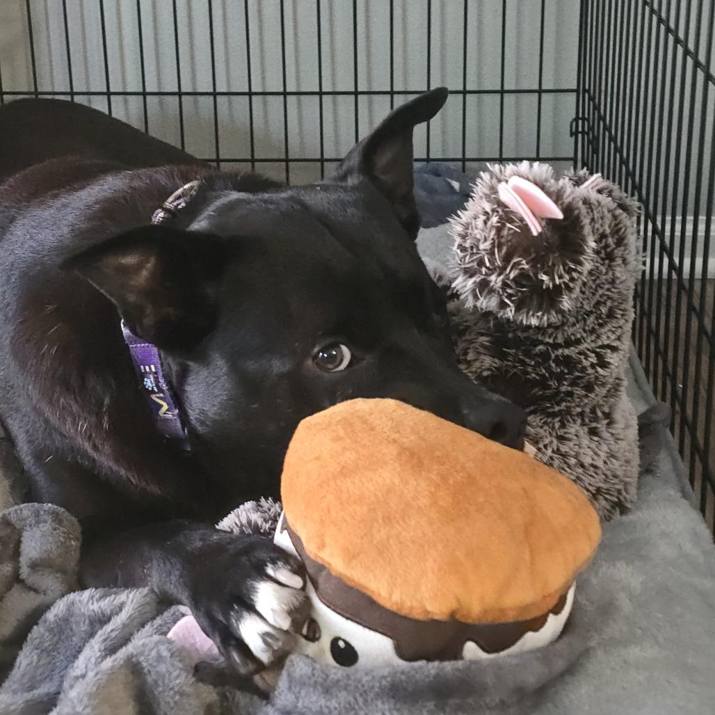 Lucky — thumbnail 6