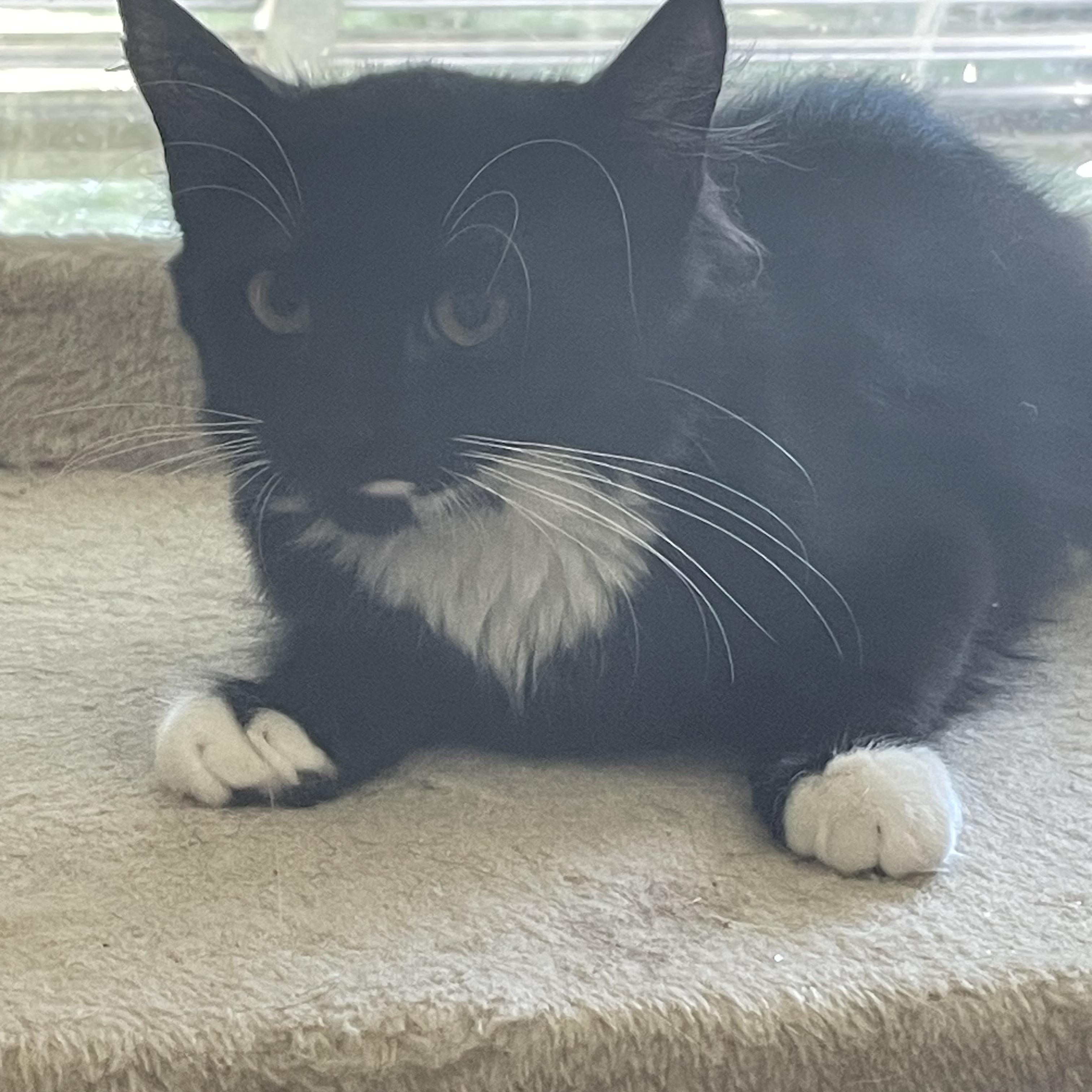 Sandra — thumbnail 2