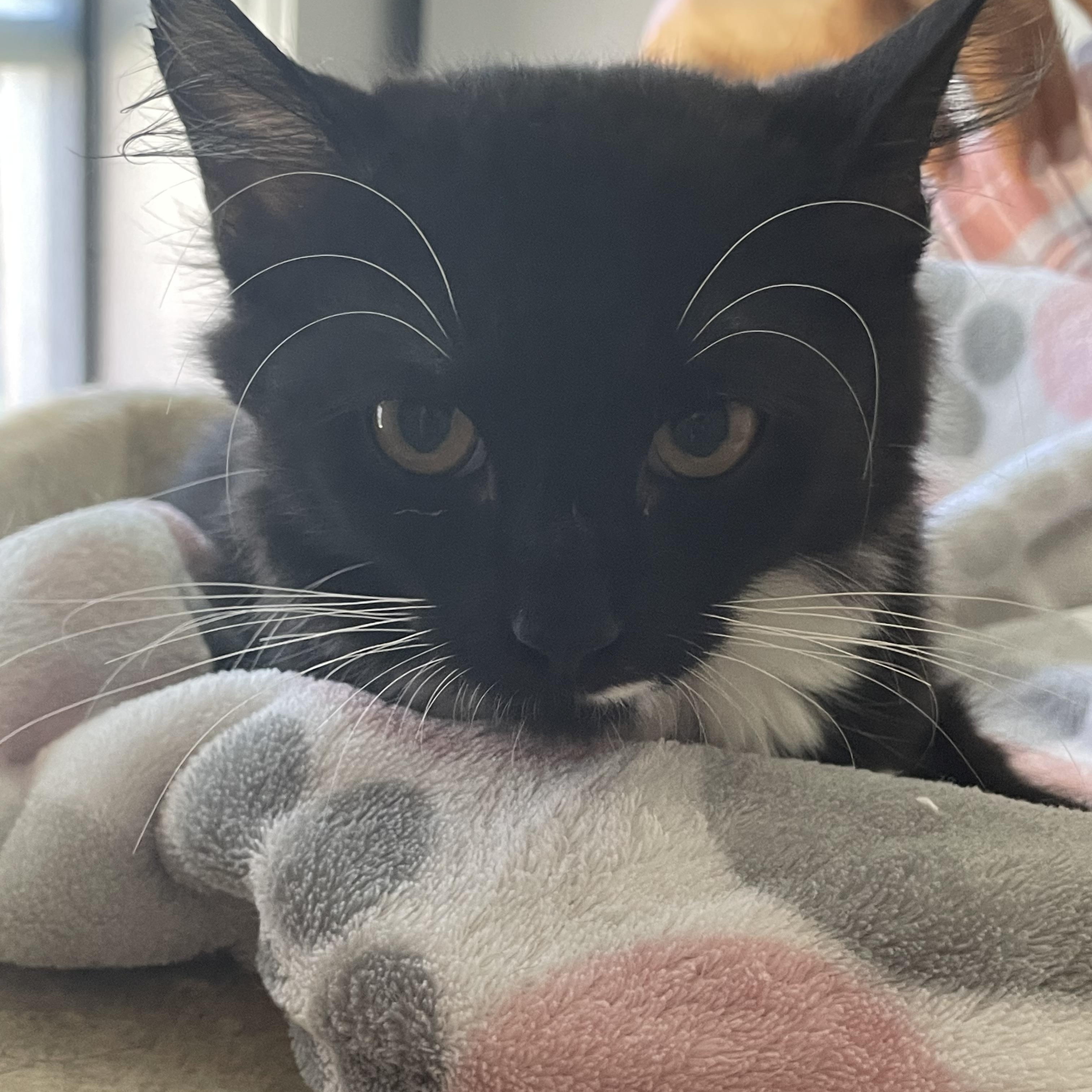 Sandra — thumbnail 3