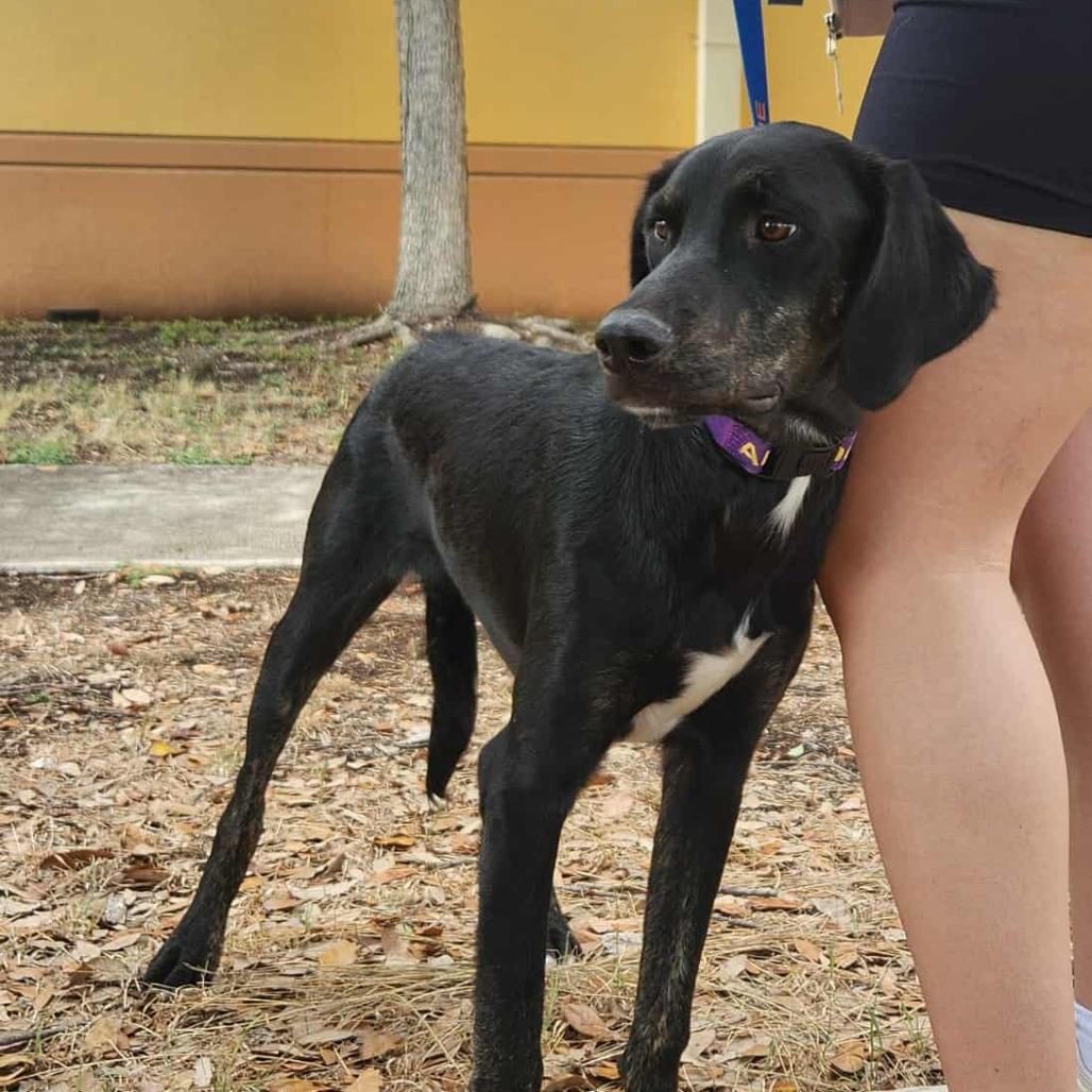 Karl JuM — thumbnail 2