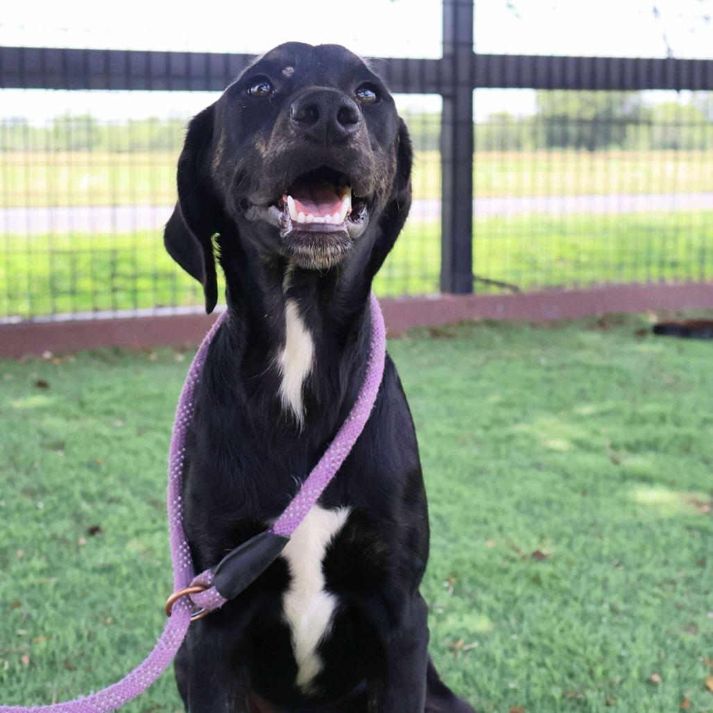 Karl JuM — thumbnail 3