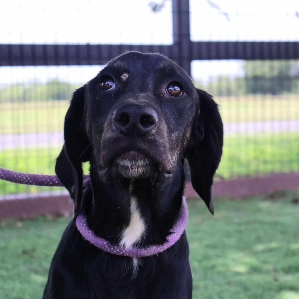 Karl JuM — thumbnail 5