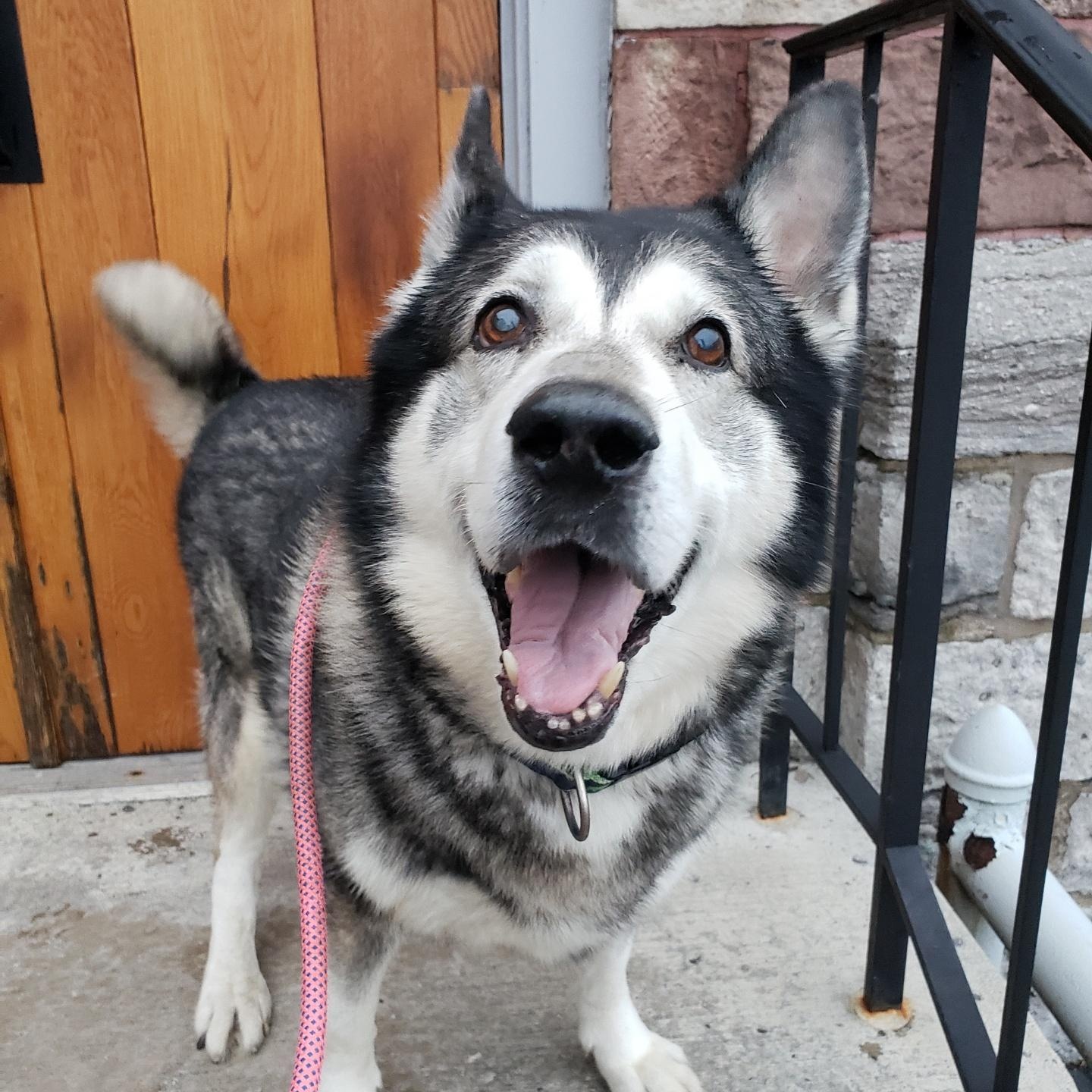 Milano — thumbnail 2