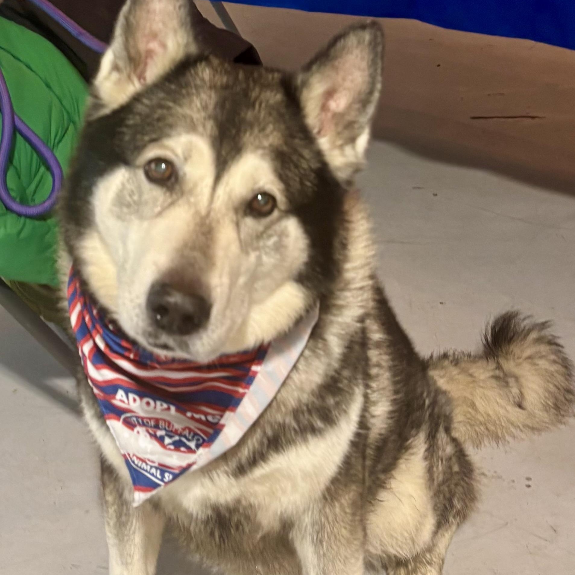 Milano — thumbnail 3