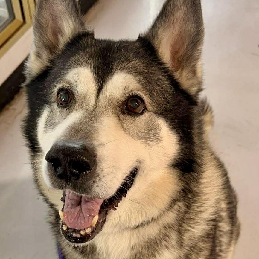 Milano — thumbnail 4