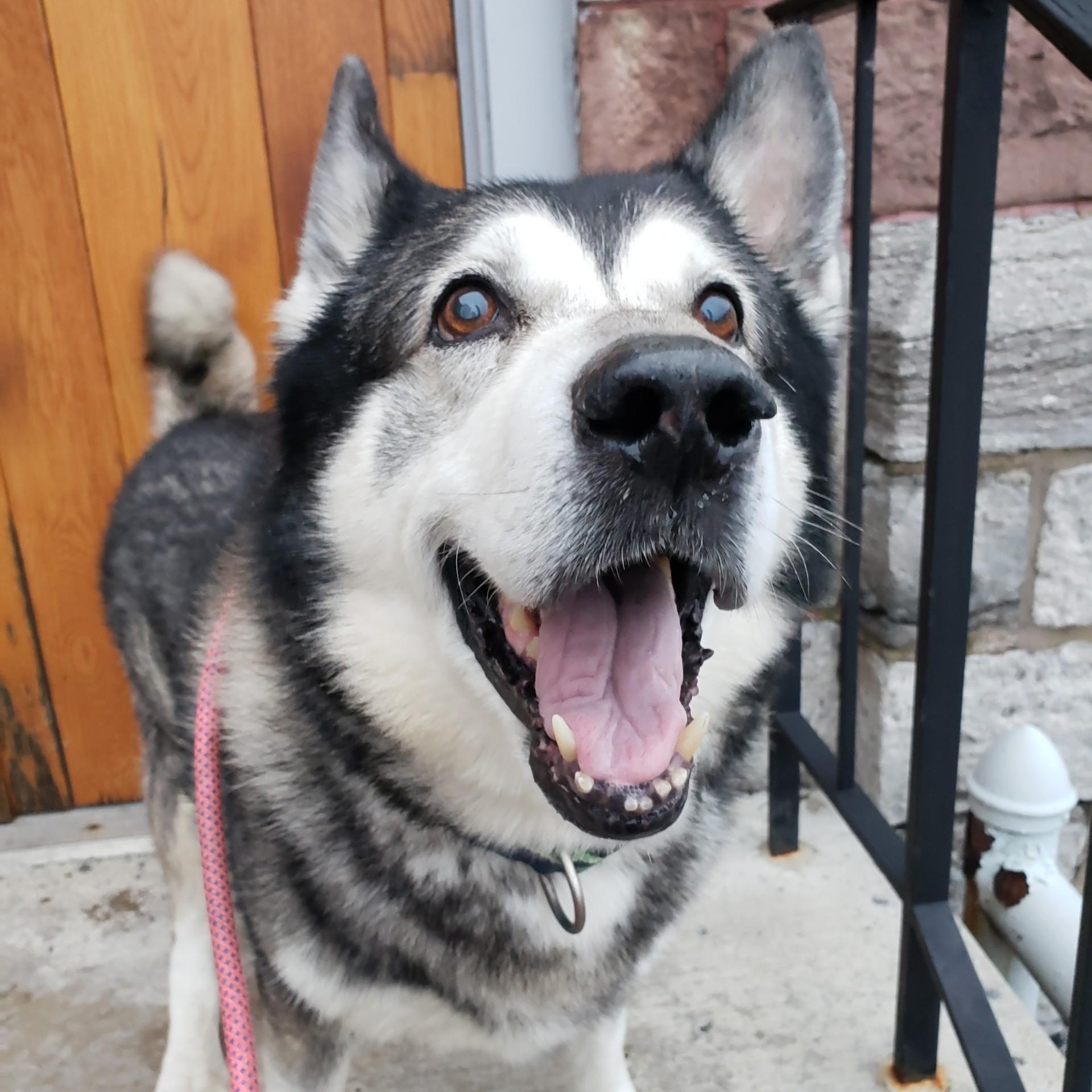 Milano — thumbnail 5