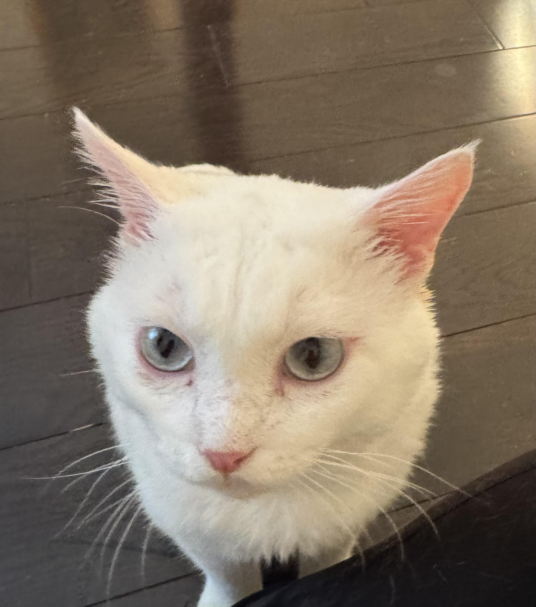 Max