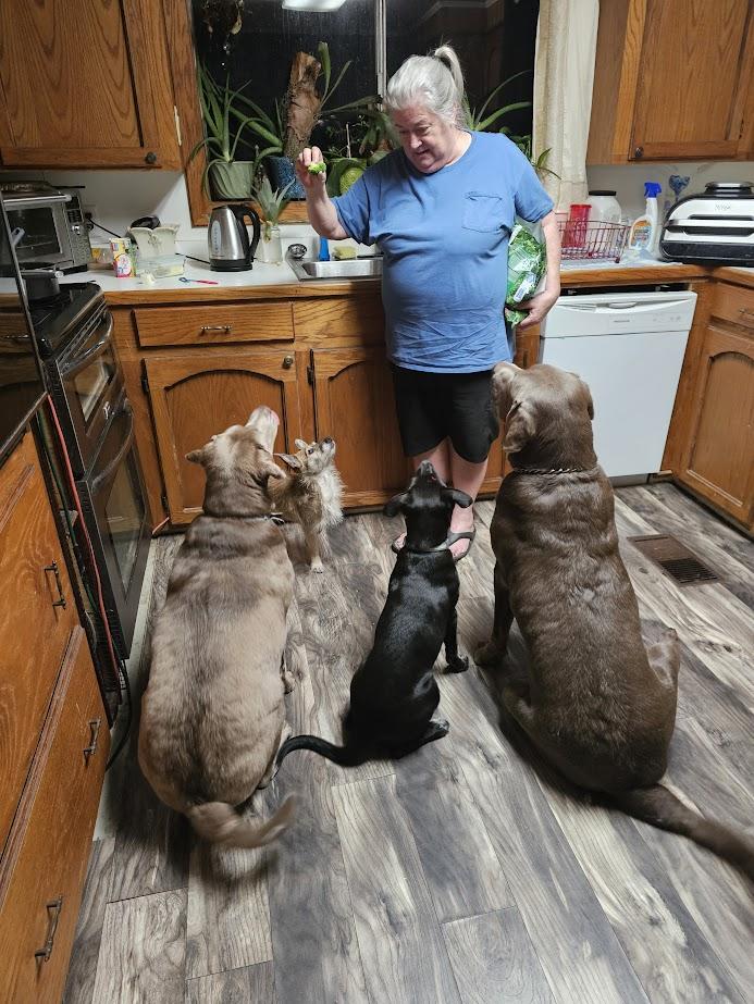 Enlarge Howey, a Adoptable mixed breed in Tylertown, MS image 4/5