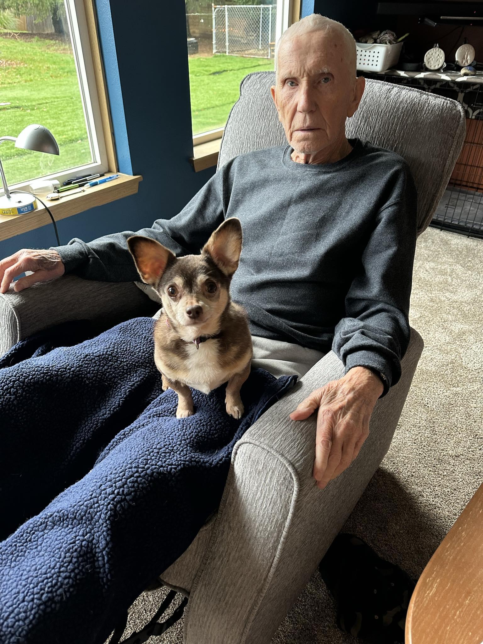 Holly, Adopted, Senior Female Chihuahua.