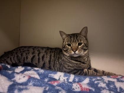 Cubby — thumbnail 2