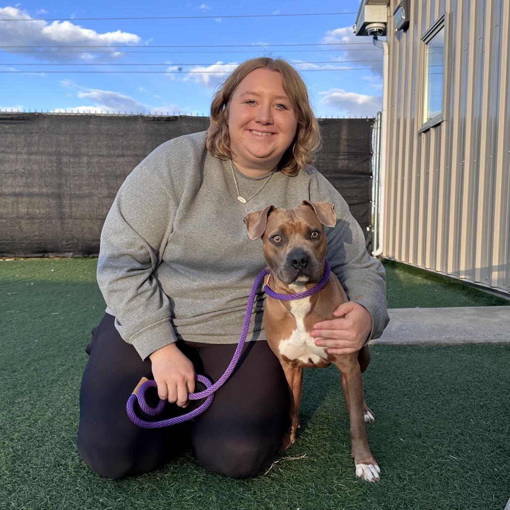 Enlarge Mabel, a Adoptable mixed breed in Canton, IL image 6/6