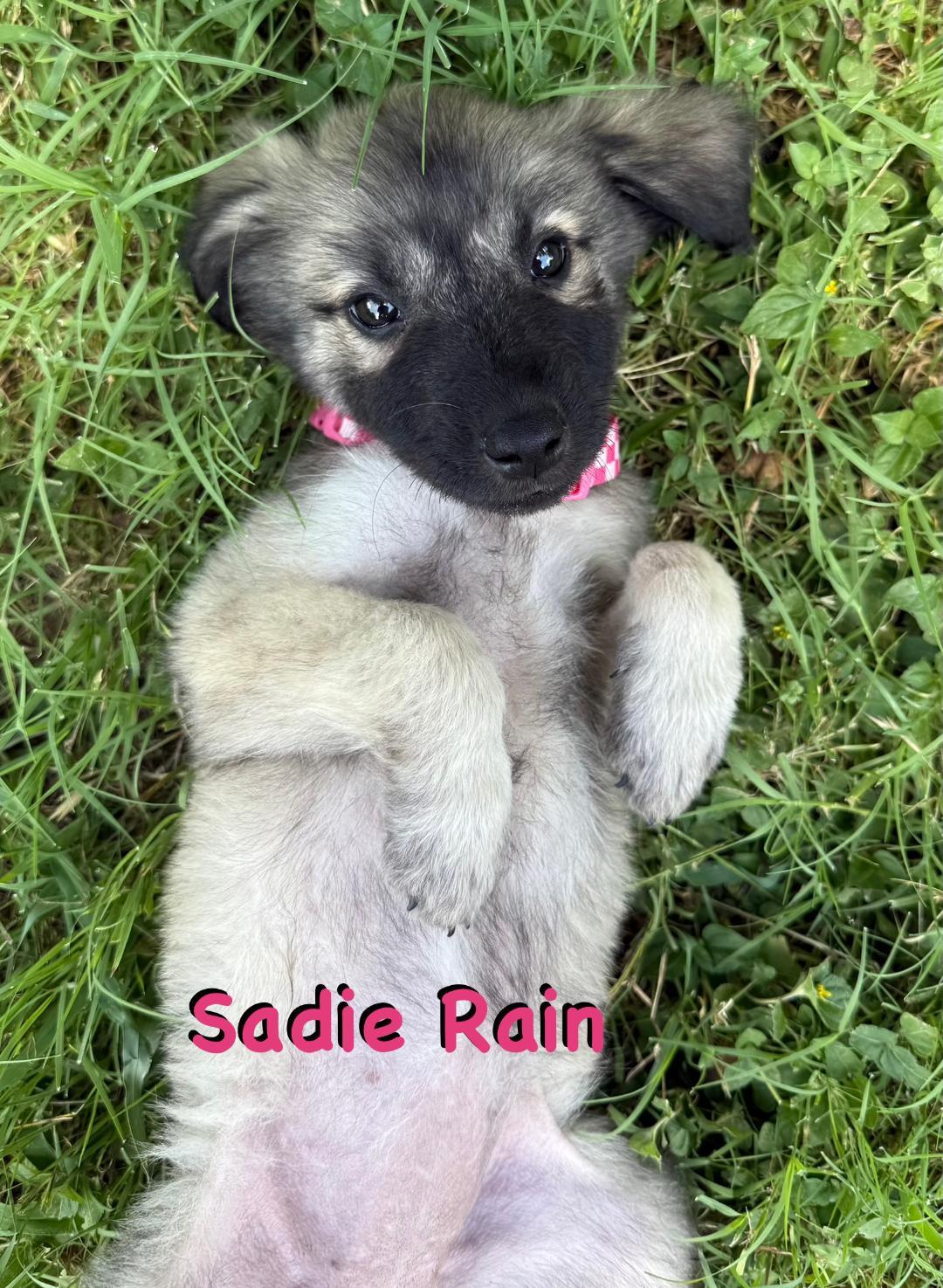 Sadie Rain