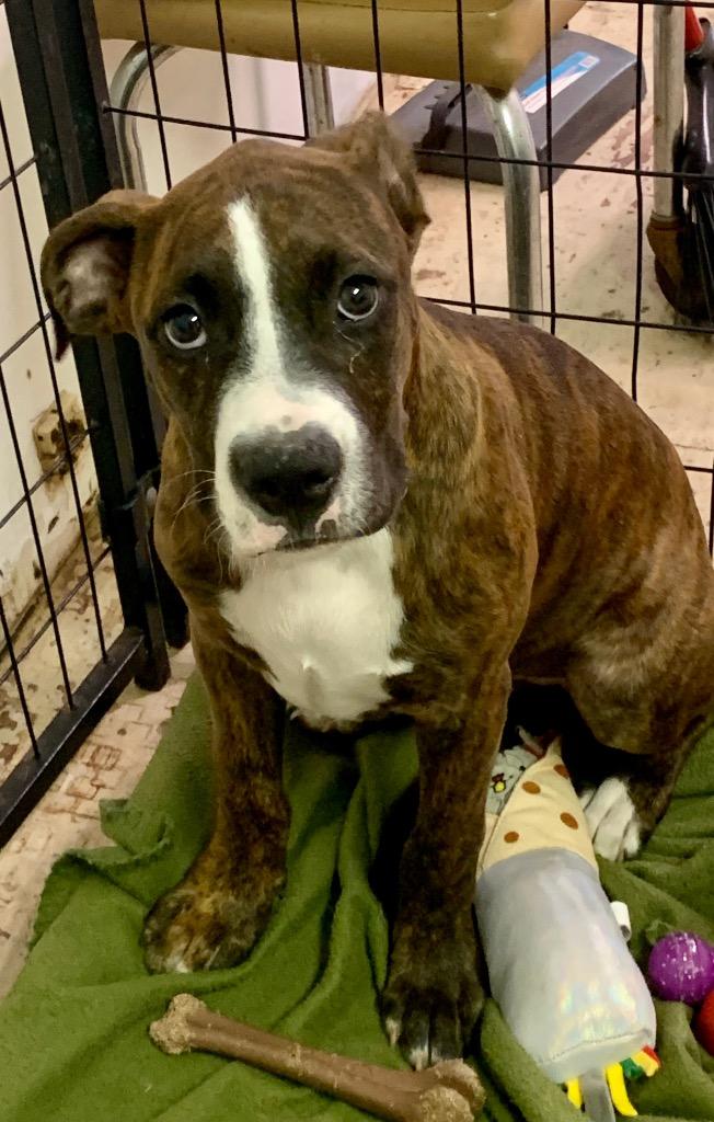 Jean Luc thumbnail 2