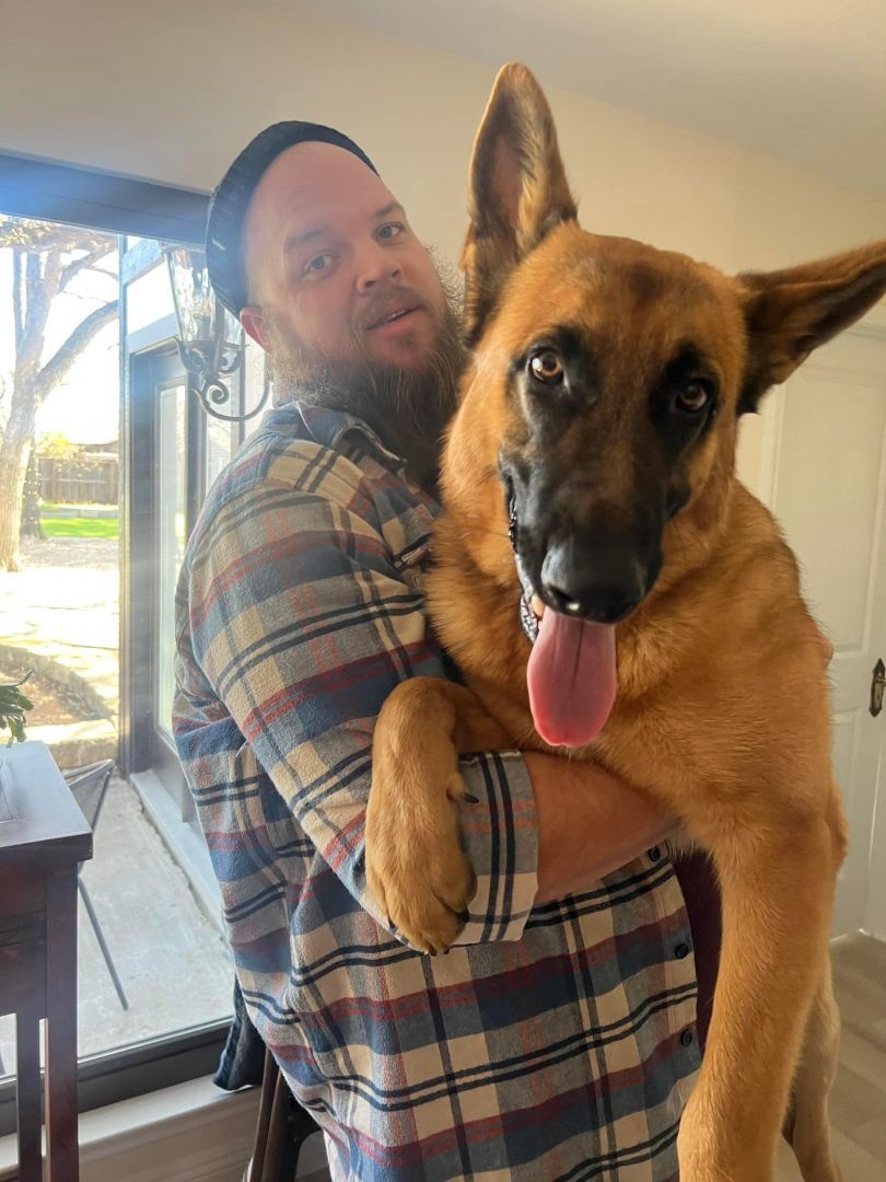 Kevin, a Adopted German Shepherd Dog in Pflugerville, TX image 2/2