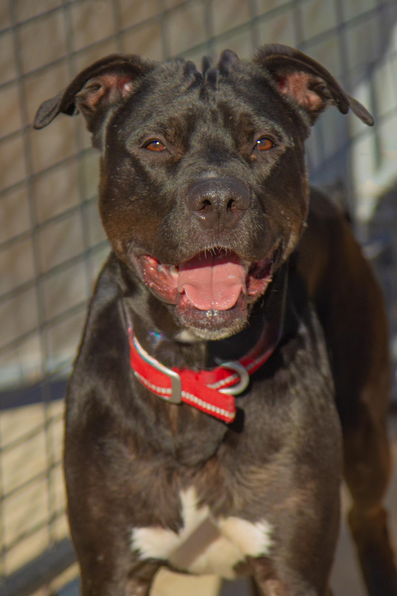 Spike — thumbnail 3