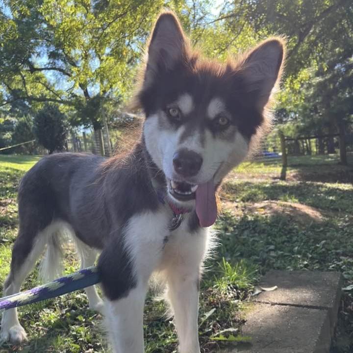 Ruby Sue