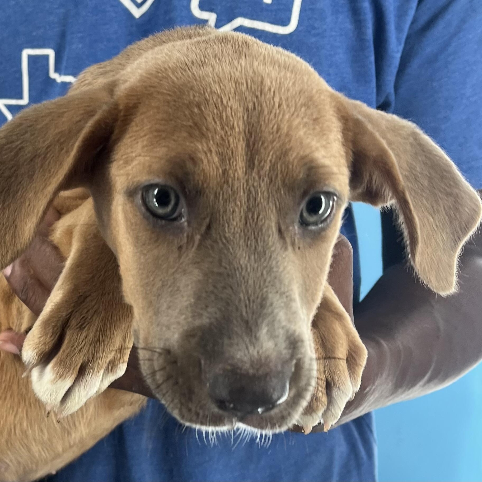 Aspen - Local Sept 26-28