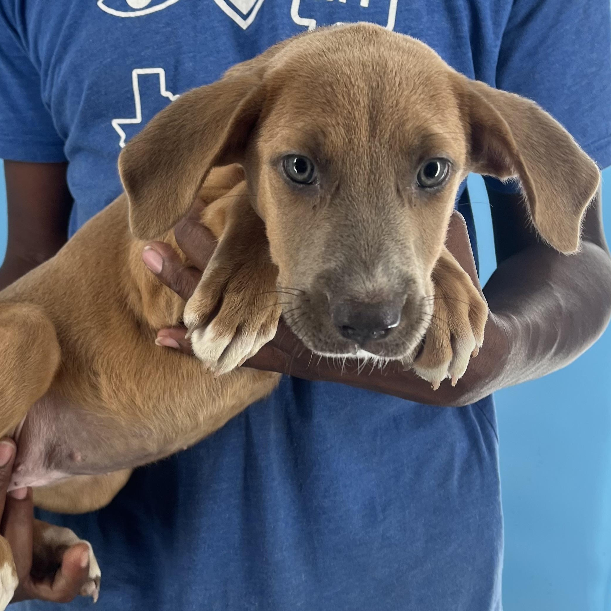 Aspen - Local Sept 26-28