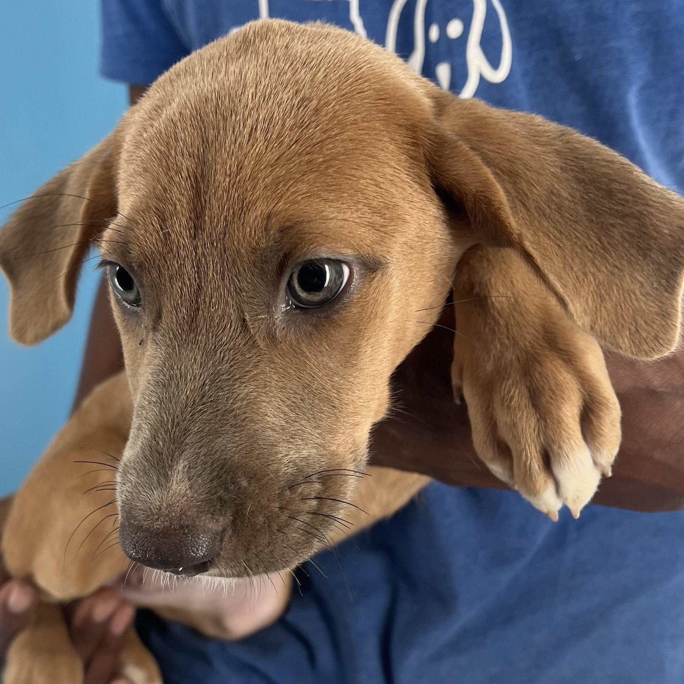 Aspen - Local Sept 26-28