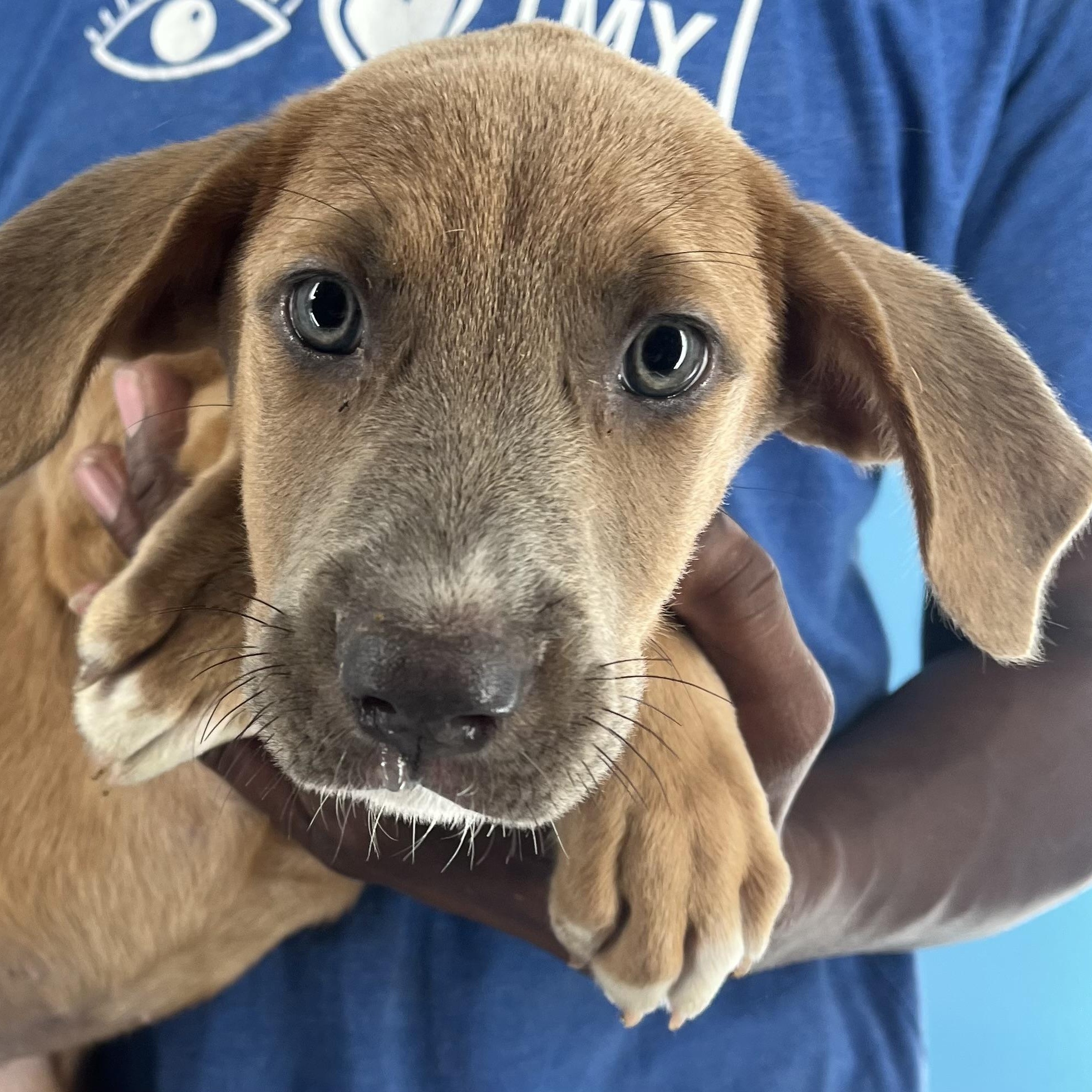 Aspen - Local Sept 26-28