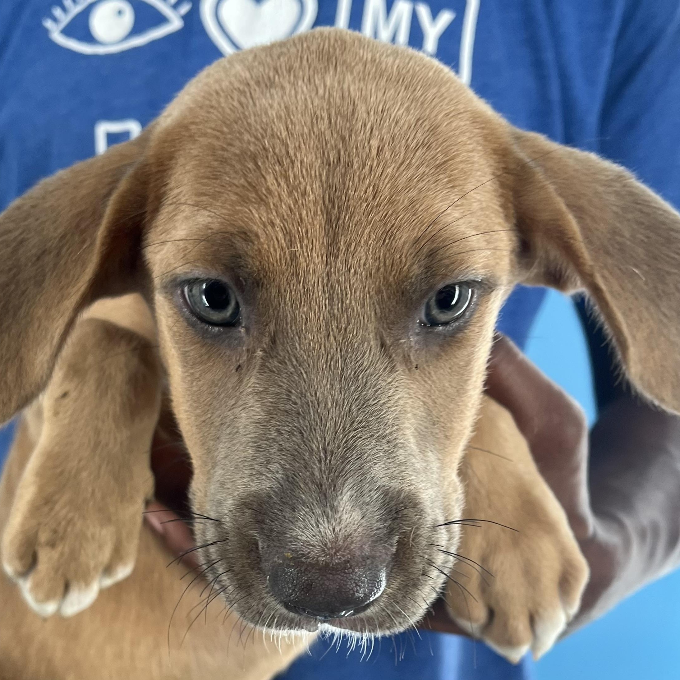 Aspen - Local Sept 26-28