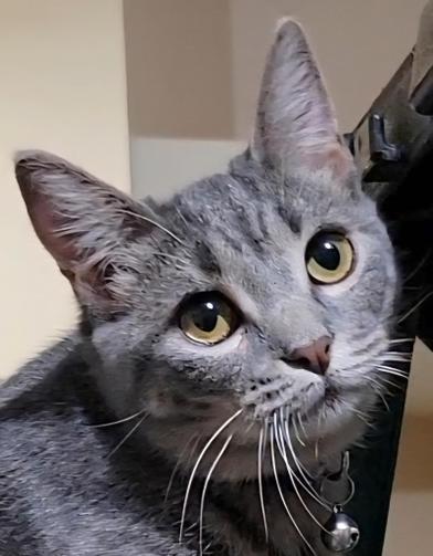 Sassy — thumbnail 5