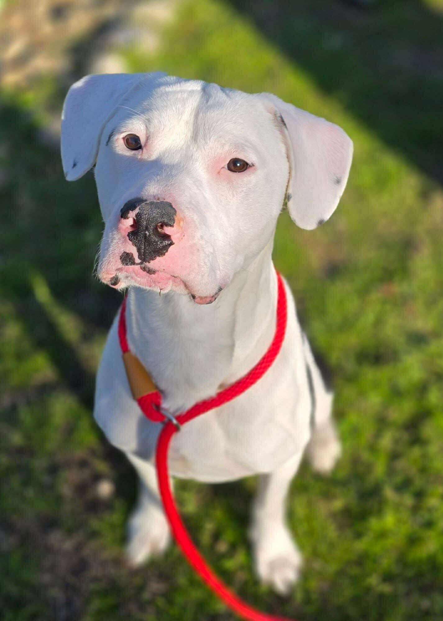 Clark — thumbnail 3