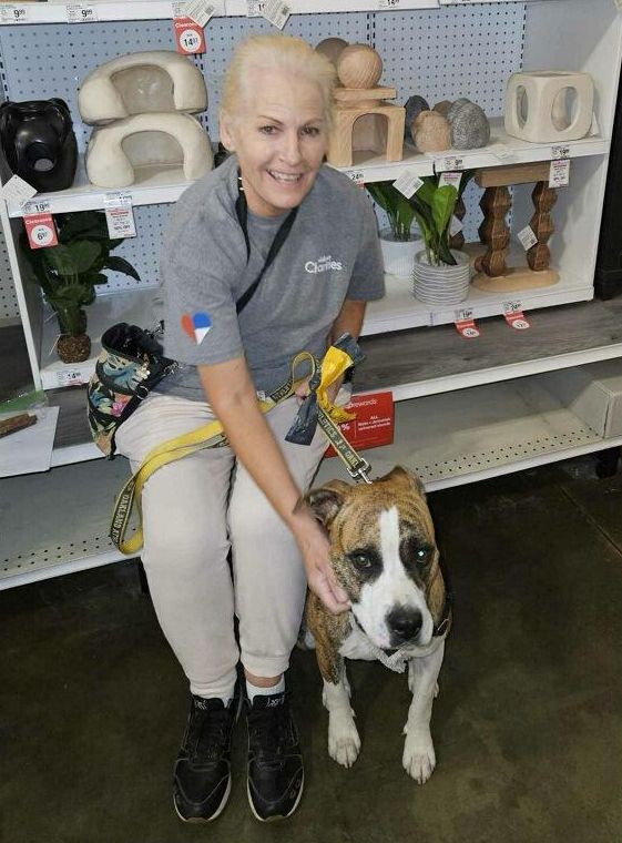 Goose — thumbnail 4