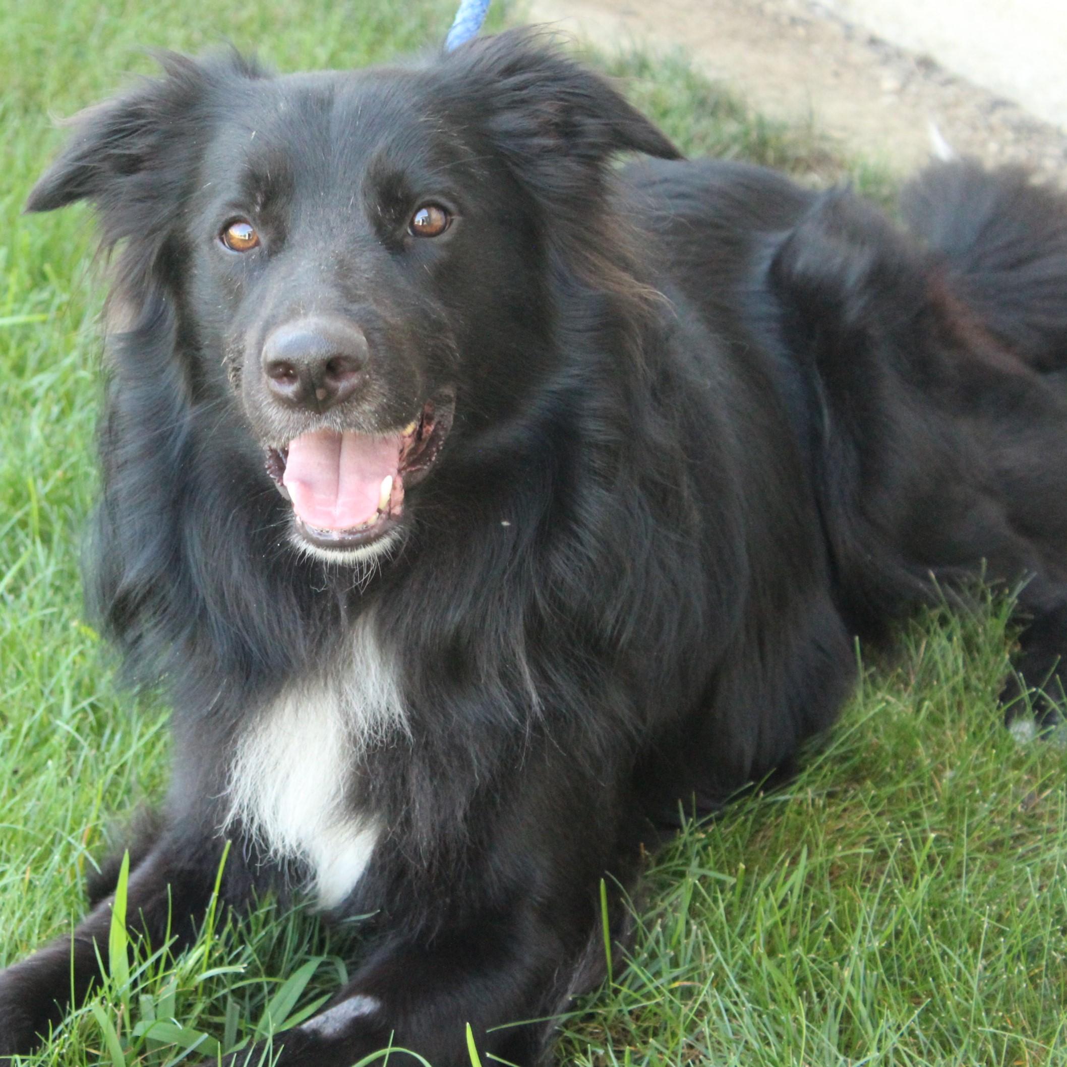 Ruger