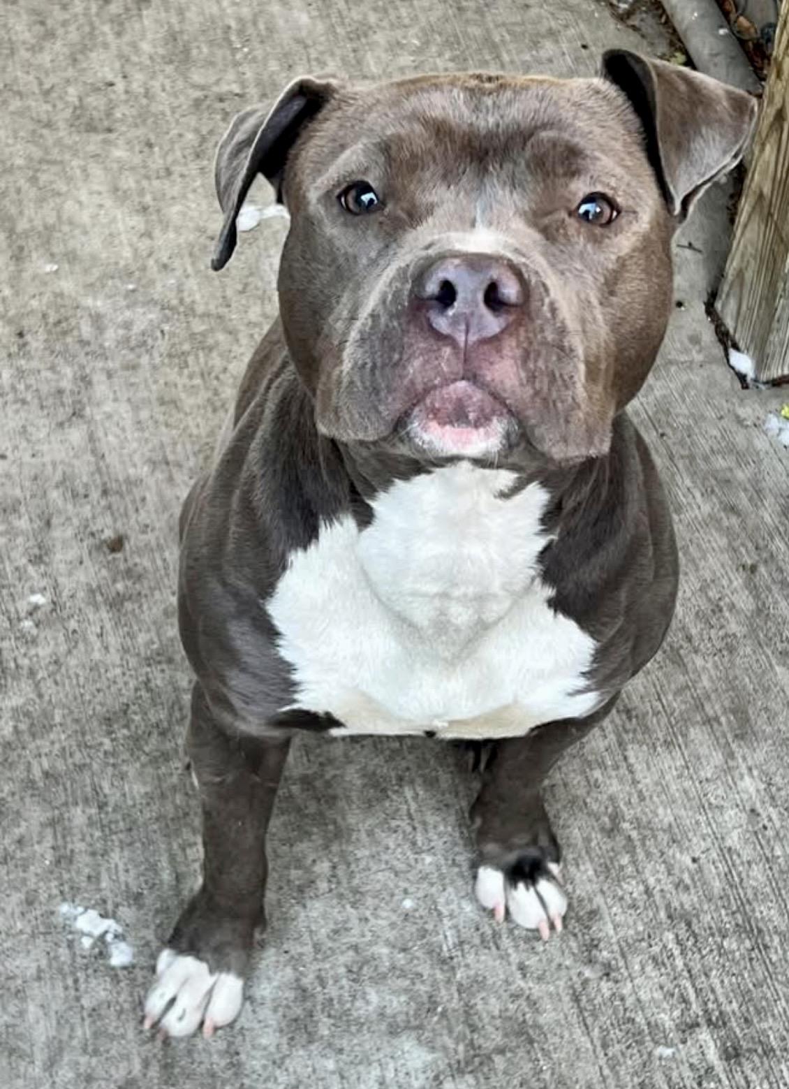 Leela — thumbnail 2