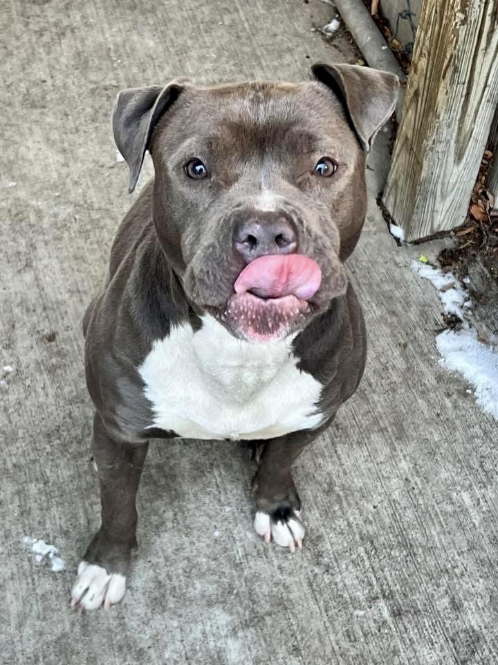 Leela — thumbnail 3