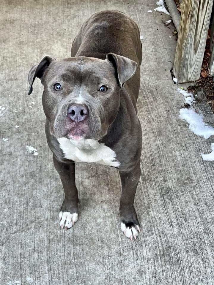 Leela — thumbnail 4