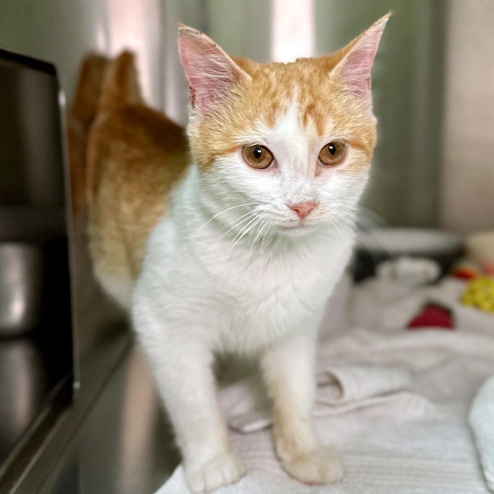 Bonnie — thumbnail 3