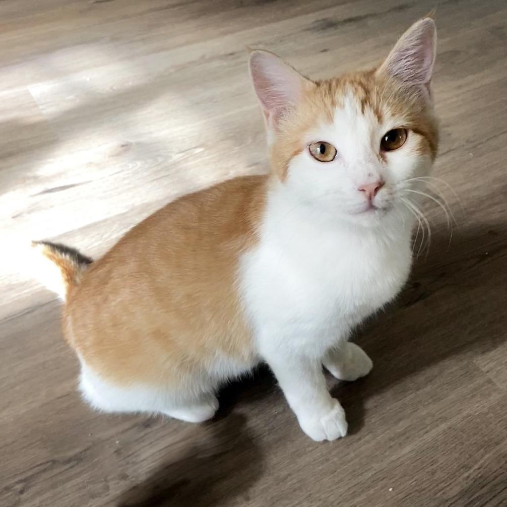 Bonnie — thumbnail 5