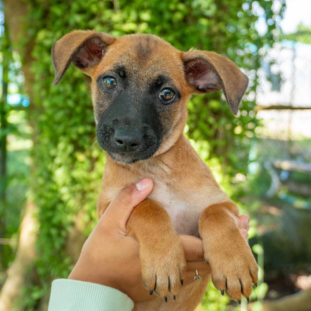 Cindy Lou Who thumbnail 3